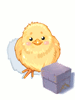 Baby Chick Hat Box